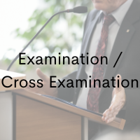 Examination/Cross-Examination